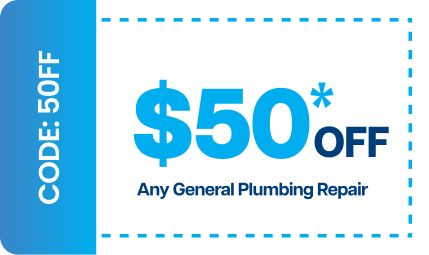 Rapid Plumbing