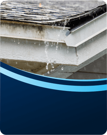 Rapid Plumbing