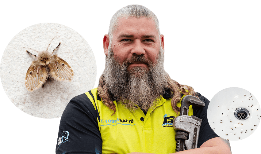 Rapid Plumbing