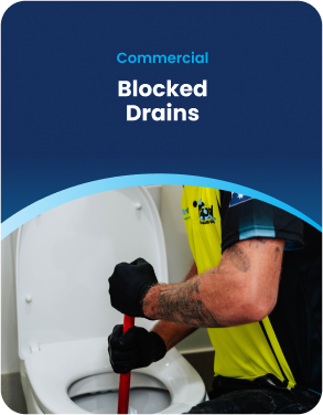 Rapid Plumbing