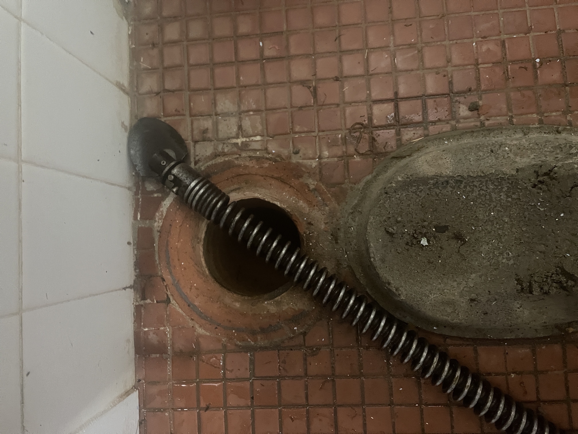 Rapid Plumbing