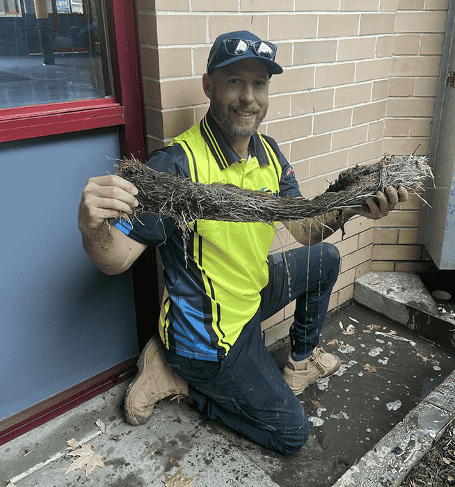 Rapid Plumbing