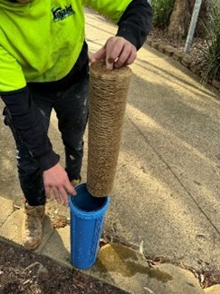 Rapid Plumbing
