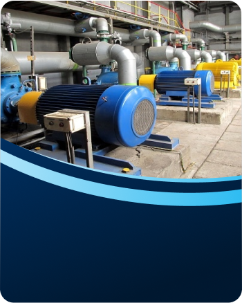 Rapid Plumbing