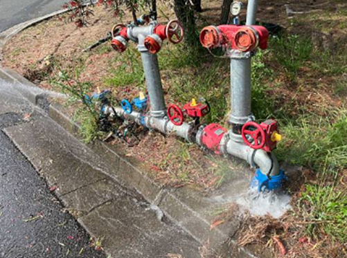 Rapid Plumbing