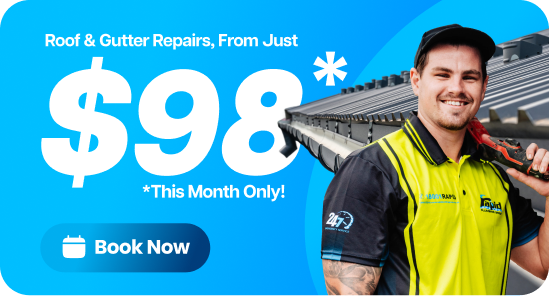 Rapid Plumbing